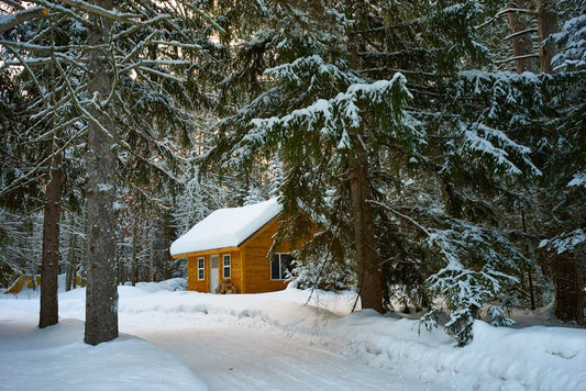 The Ultimate Guide to Choosing Your Dream Log Cabin
