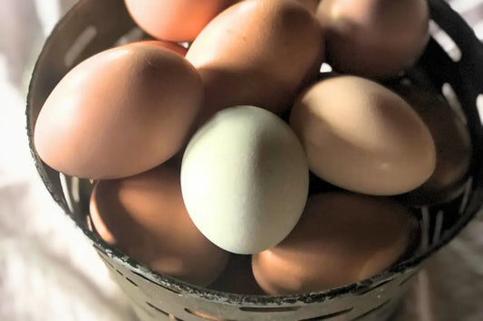 Organic Living Tips: Making Sustainable Choices in Your Everyday Life