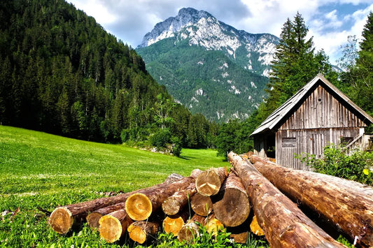 The Environmental Advantages of Building with Logs for Authentic Cabins